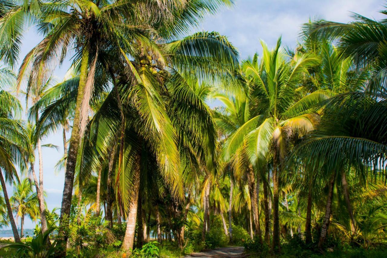 Hotel Sunshine Caribe Puerto Viejo de Talamanca 外观 照片