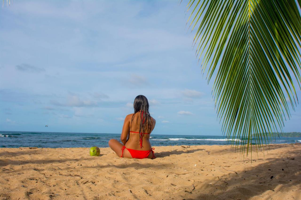 Hotel Sunshine Caribe Puerto Viejo de Talamanca 外观 照片